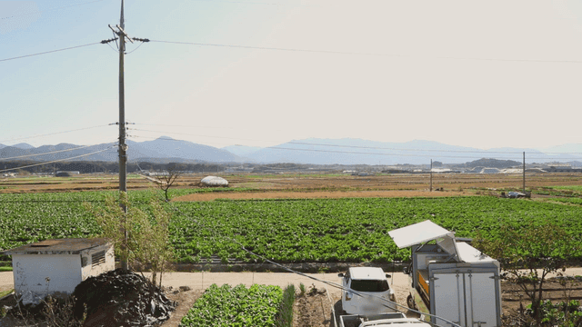 산을 배경으로 한 넓은 농지