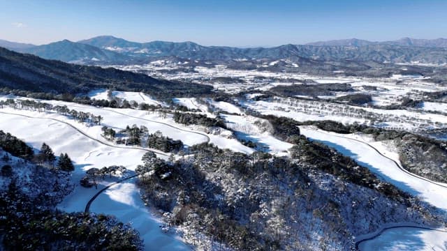 Snowy Landscape with Pine Trees and Mountains