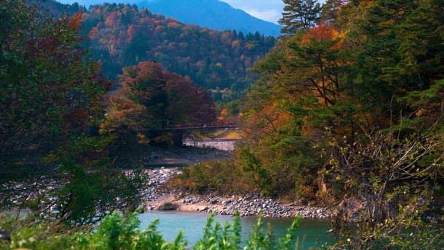 Autumn Foliage by a Mountain River