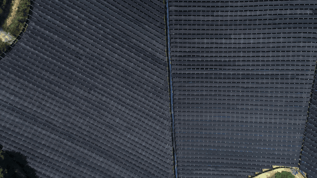 들판에 있는 차양막의 행렬