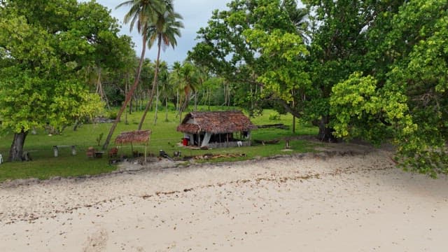 Serene beach with a small hut and lush greenery