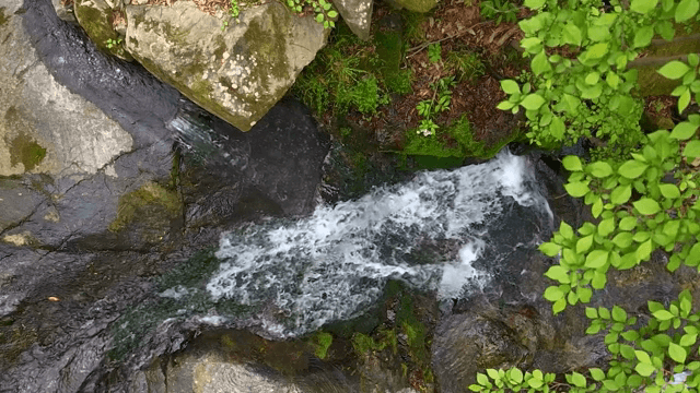 바위 사이로 흐르는 고요한 시냇물