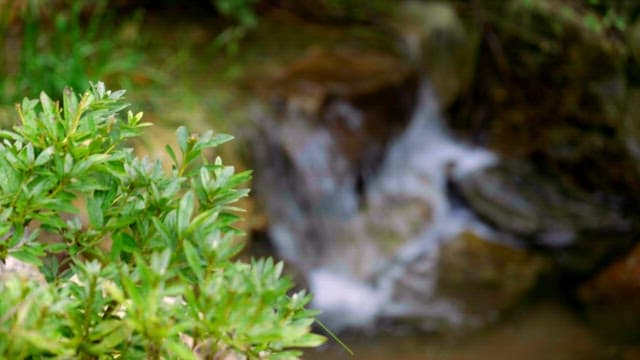 Valley water falling from above