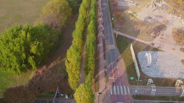 길과 나무가 있는 공원의 항공 뷰