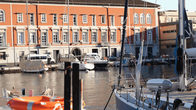 Yachts moored at marina