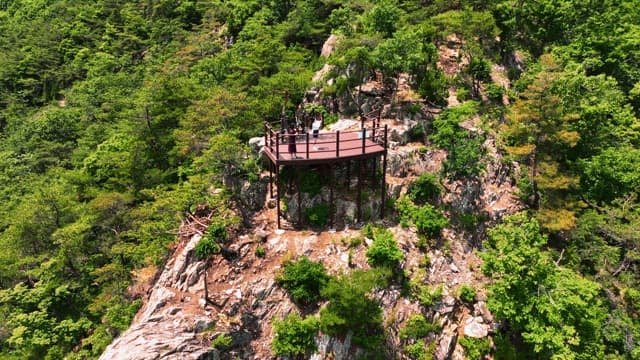 전망대가 있는 푸른 숲의 경치