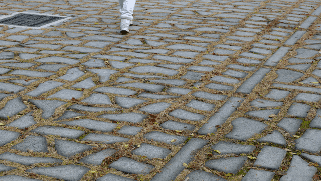 People walking on stone pavement