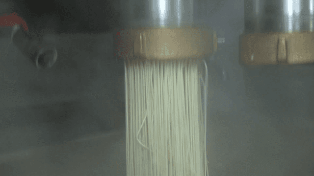 Noodles being extruded from a machine