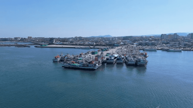 정박한 배들이 있는 번화한 항구