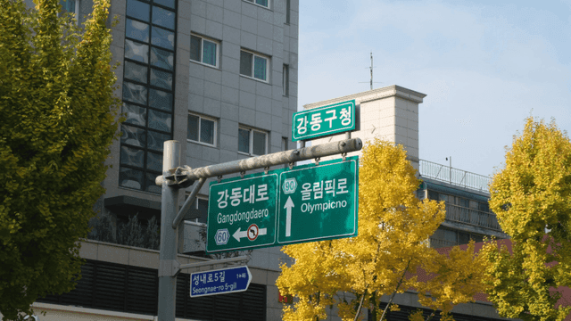 Road signs and ginkgo trees