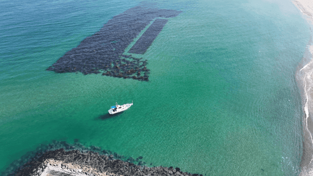Boat floating on clear turquoise sea