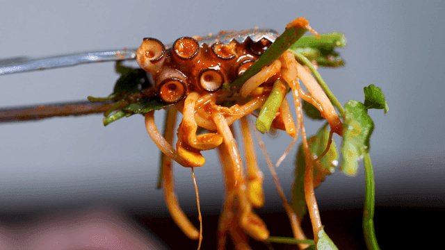Spicy steamed seafood with octopus and water parsley, lifted with tongs