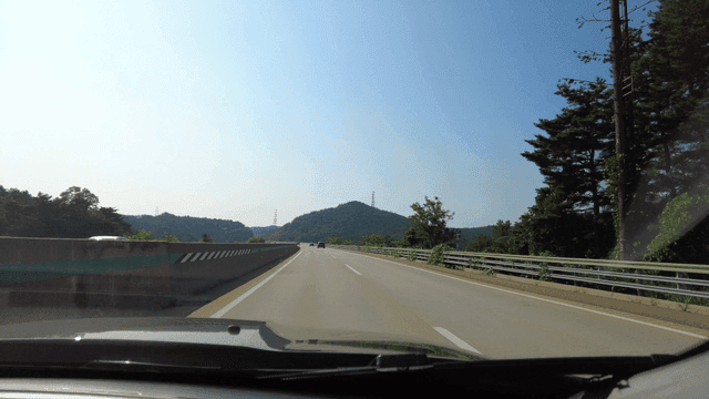 Driving through a scenic green highway