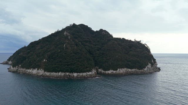 Lush green island surrounded by the sea