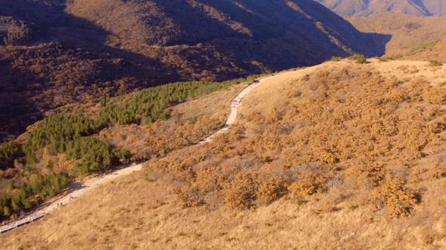 가을 산을 가로지르는 구불구불한 길