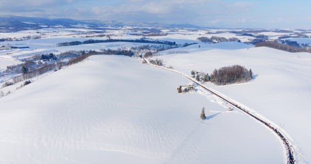 Snowy Rural Village and Trees