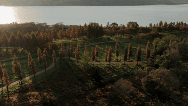 호수 옆 가을 나무가 있는 고요한 공원