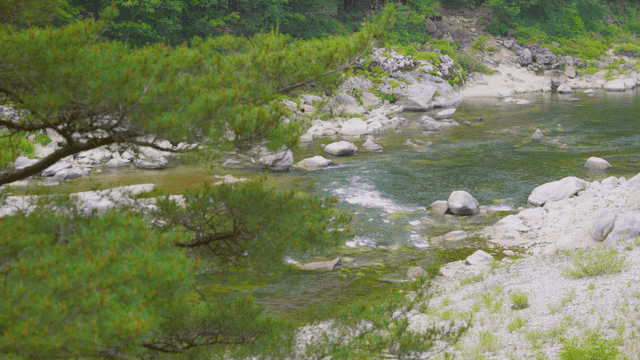 Tranquil river flowing through rocks
