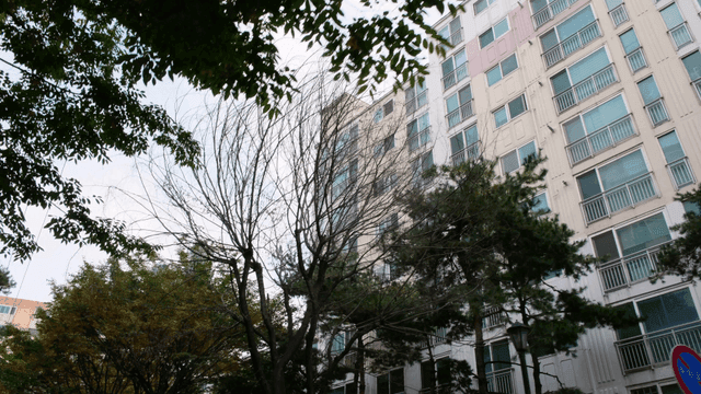 Apartment buildings surrounded by trees