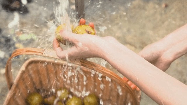 바구니에 신선한 배 씻기