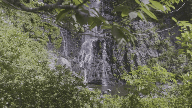 Tranquil waterfall surrounded by lush forest