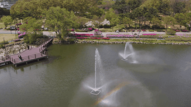 분수와 화려한 꽃이 있는 공원