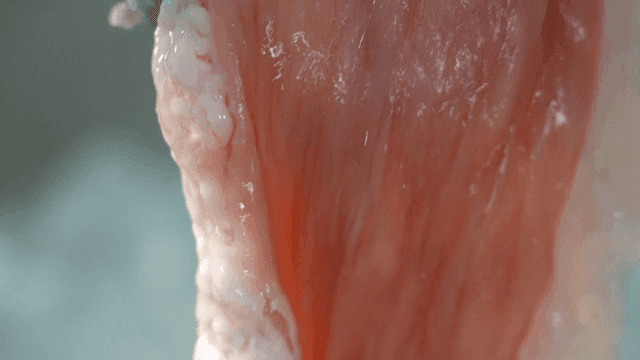 Rinsing fresh beef large intestine with tap water