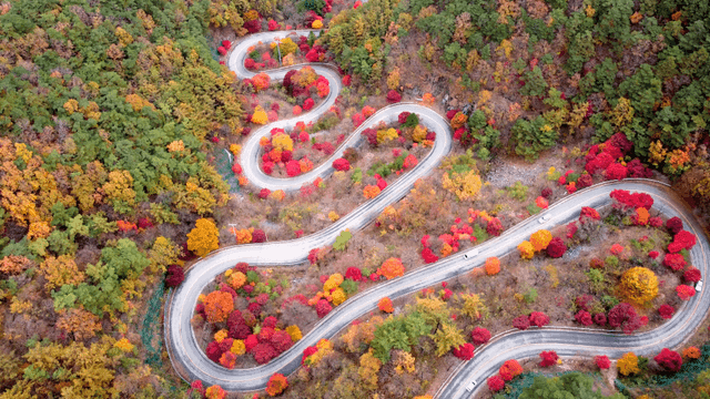 Winding road through colorful autumn forest