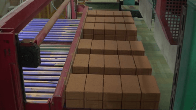 Bricks moving on a conveyor belt