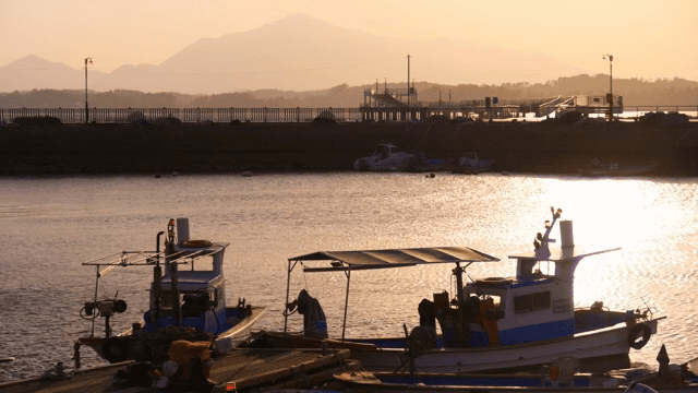 Boats docked at a serene harbor during sunset