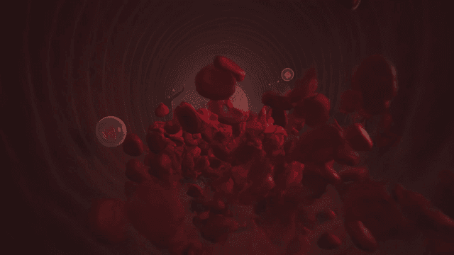 Red blood cells flowing through a vessel