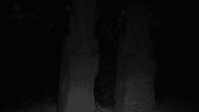 Traditional stone statues at night