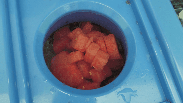 Watermelon pieces in a blue container
