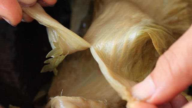 먹음직스럽게 준비된 삭힌 김치를 손으로 찢는 모습