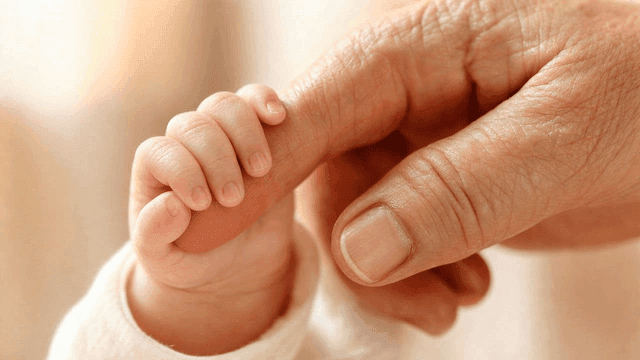 Baby holding adult's finger