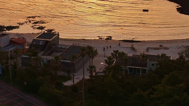 Serene beach with golden sunset