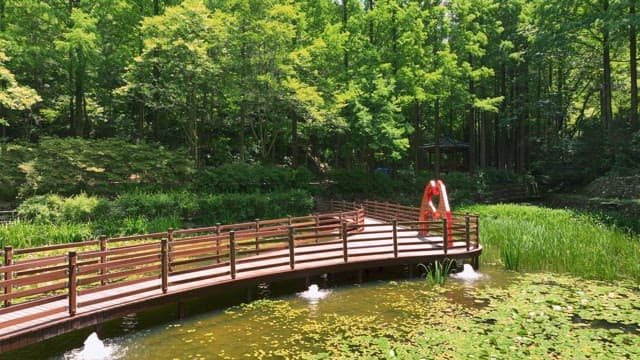 푸른 숲 속의 나무 산책로