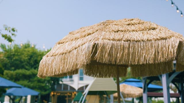 맑은 날 리조트 파티오의 볏짚 파라솔