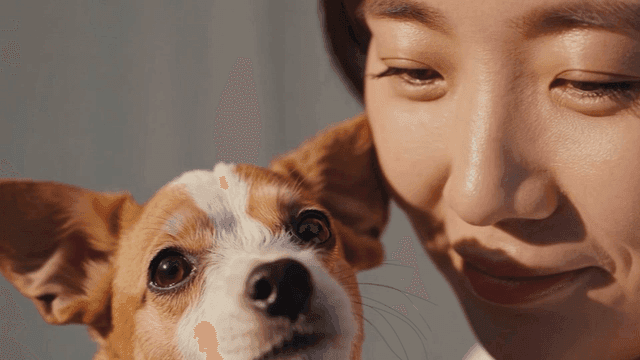 여성이 강아지를 보며 미소 짓는 모습