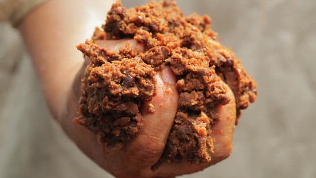 Hand holding a chunk of Korean fermented soybean paste