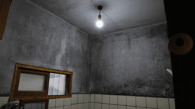 Bathroom dimly lit by single light bulb