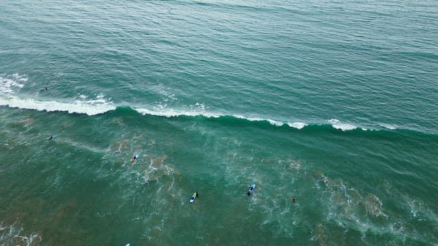 Surfers riding waves at a beach