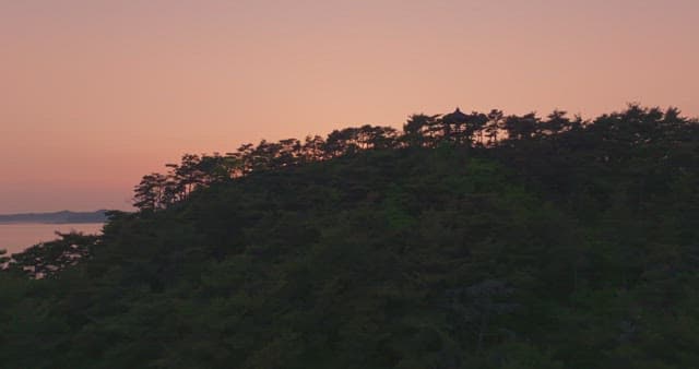 숲이 우거진 언덕과 바다 위의 일몰