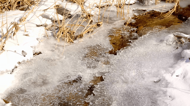 얼어붙은 시냇물 사이로 흐르는 물