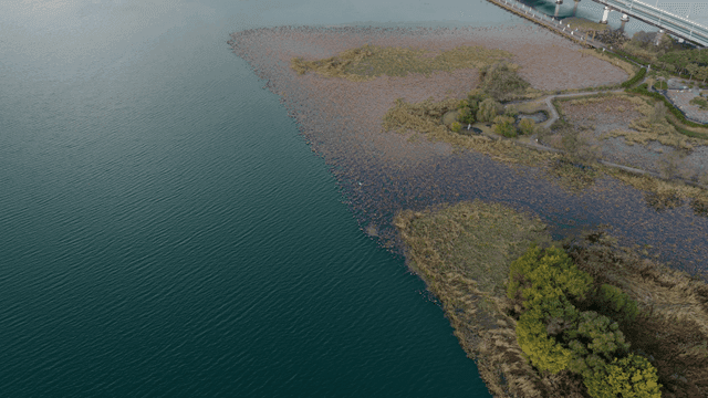 주변 녹지가 있는 고요한 호수