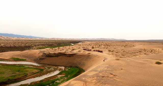 Caravan of camels crossing a vast desert