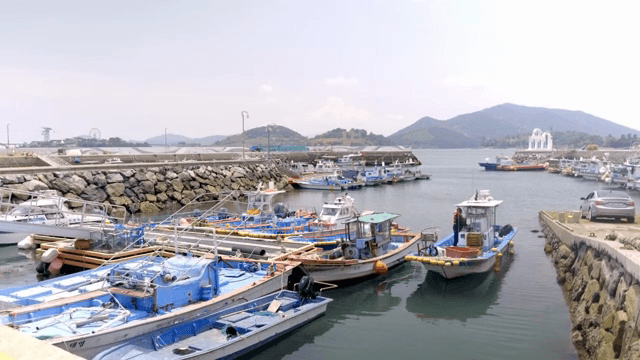 경치 좋은 항구에 정박한 어선들