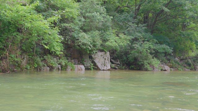 Tranquil river surrounded by lush greenery