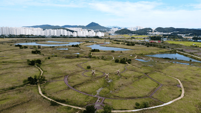 Wide field with windmills and city landscape