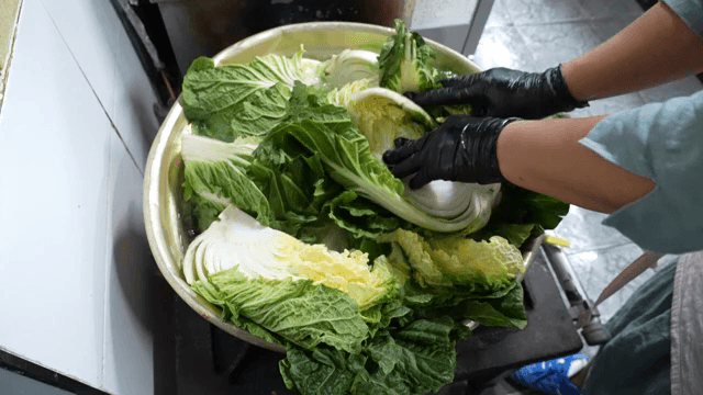 Napa cabbage being added to a boiling pot